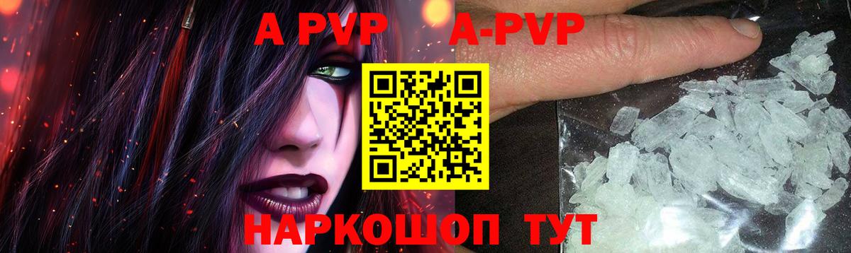 Альфа ПВП СК КРИС Новозыбков