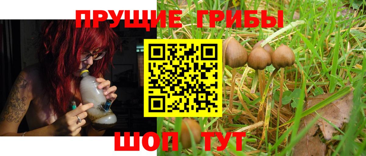 Галлюциногенные грибы GOLDEN TEACHER Новозыбков