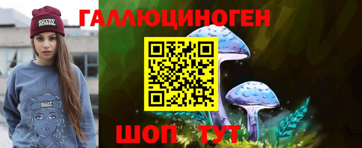 Новозыбков  Псилоцибиновые грибы прущие грибы  Вход с VPN 