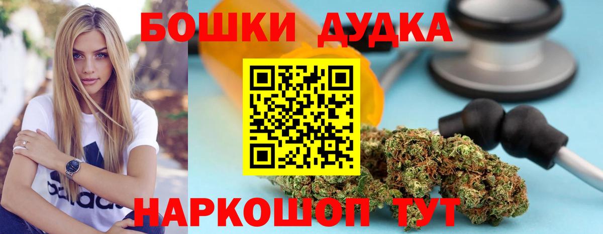 Конопля сатива Новозыбков